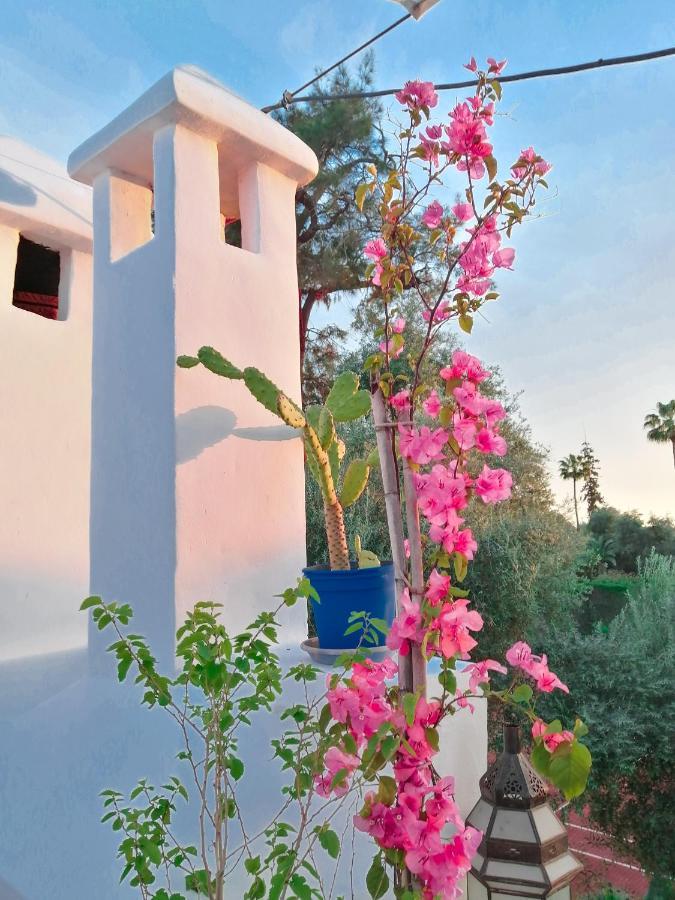 Riad Elli Marrakech Marrakesh Eksteriør bilde