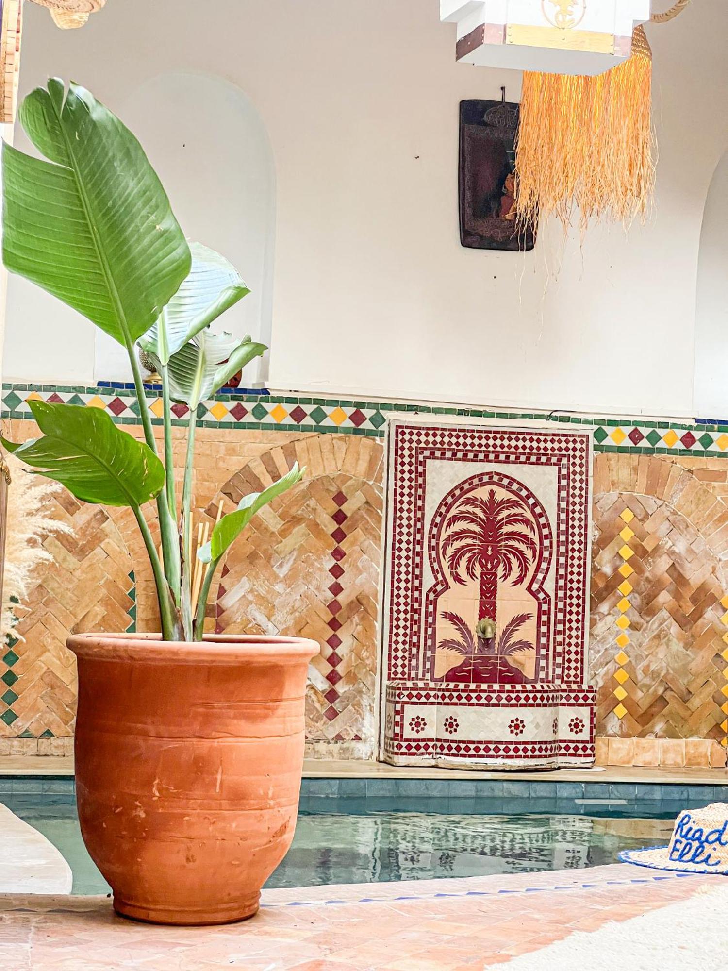 Riad Elli Marrakech Marrakesh Eksteriør bilde